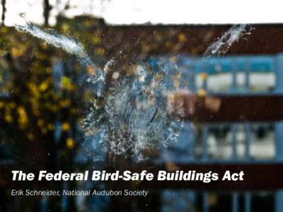 The Federal Bird-Safe Buildings Act Erik Schneider, National Audubon Society “  In 2007, birders took me to the McCormick Place in Chicago during