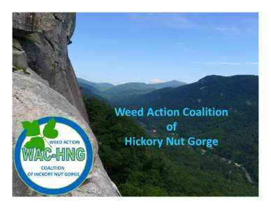 Weed Action Coalition of Hickory Nut Gorge Who are we?