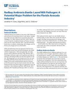 HS1136  Redbay Ambrosia Beetle-Laurel Wilt Pathogen: A Potential Major Problem for the Florida Avocado Industry1 Jonathan H. Crane, Jorgé Peña, and J.L. Osborne2