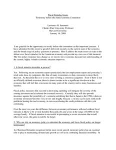 Microsoft WordFiscal Stimulus Issues - Final.doc