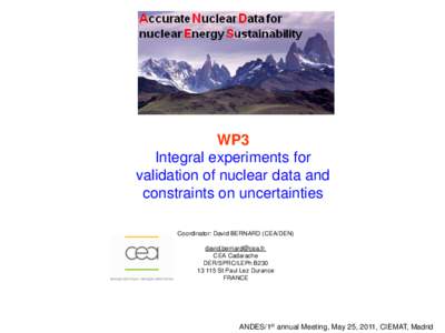 WP3 Integral experiments for validation of nuclear data and constraints on uncertainties Coordinator: David BERNARD (CEA/DEN) 