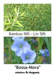 Bambou 50% - Lin 50%  