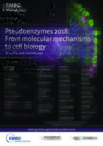 Pseudoenzymes 2018: From molecular mechanisms to cell biology 16 – 19 May 2018 | Sardinia, Italy  ORGANIZER