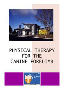 PHYSICAL THERAPY FOR THE CANINE FORELIMB PHYSICAL THERAPY FOR THE CANINE FORELIMB Rehabilitation is beneficial for many orthopaedic and neurological conditions in dogs and should begin almost immediate after surgery.