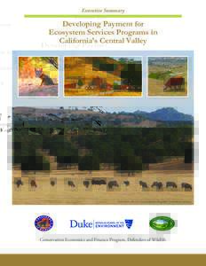 Executive Summary  Developing Payment for Ecosystem Services Programs in California’s Central Valley