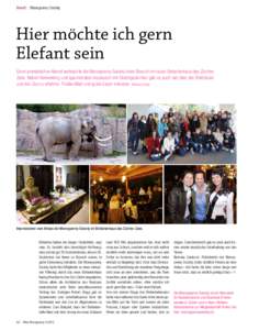 Event : Moneypenny Society  Hier möchte ich gern Elefant sein  Fotos: Oliver Grebenstein