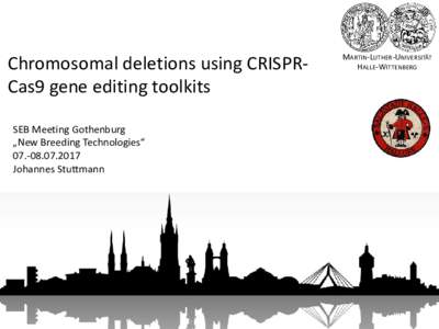 Chromosomal deletions using CRISPR-Cas9 gene editing toolkit