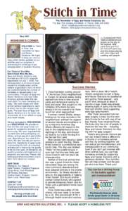 Stitch in Time The Newsletter of Spay and Neuter Solutions, Inc. P.O. Box 762, Cortaro, AZ 85652  Phone: (Email:  Website: www.spayandneutersolutions.org