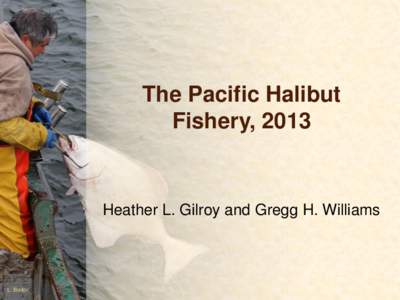 The Pacific Halibut Fishery, 2013 Heather L. Gilroy and Gregg H. Williams  L. Boitor
