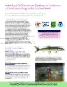 Multi-State Collaborative to Develop and Implement a Conservation Program for Rainbow Smelt Maine, Massachusetts, and New Hampshire are collaborating to collect scientific information and create a regional plan In 2004, 