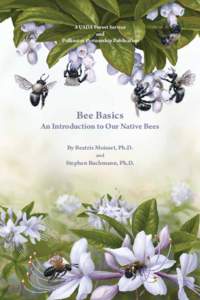 A USDA Forest Service and Pollinator Partnership Publication Bee Basics