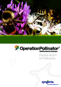Insect ecology / Beekeeping / Symbiosis / Sustainable agriculture / Pollinator / Bee / Insect / Beneficial insects / Agriculture / Plant reproduction / Pollination / Biology