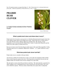 PRAIRIE BUSH CLOVER A THREATENED MIDWESTERN PRAIRIE PLANT
