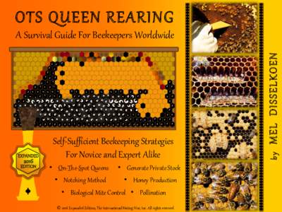 OTS QUEEN REARINGEDITION