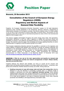 Position Paper Brussels, 20 December 2013 Consultation of the Council of European Energy Regulators (CEER): Regulatory and Market Aspects of