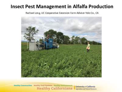 Insect Pest Management in Alfalfa Production Rachael Long, UC Cooperative Extension Farm Advisor Yolo Co., CA Alfalfa IPM Major pests • Weevils (Egyptian and alfalfa)