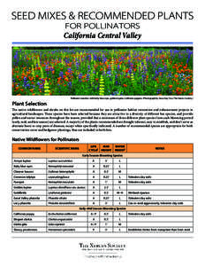 SEED MIXES & RECOMMENDED PLANTS FOR POLLINATORS California Central Valley Pollinator meadow with baby blue eyes, golden lupine, California poppies. (Photograph by Jessa Kay Cruz, The Xerces Society.)