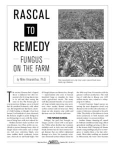 Rascal To remedy Fungus on the Farm