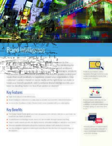 Brand Intelligence Cyveillance Brand IntelligenceTM reports connect your team to the pulse of your business’ brands, products, and services by monitoring for inflammatory language, key fan opinions, and overall brand s