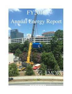 FY2016 Annual Energy Report Fiscal Year 2016 In 2016, Emory adopted a new Sustainability Vision and Strategic Plan that includes a commitment to reduce energy use, per square foot, by 50 percent in 10 years and overall 