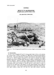 1985 excavation CHAPTER3 REPORT ON THE 1985 EXCAVATIONS BUILDING 300: A SET OF ANillAL PENS  Site supervisor: Linda Hulin