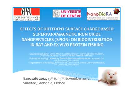 EFFECTS OF DIFFERENT SURFACE CHARGE BASED SUPERPARAMAGNETIC IRON OXIDE NANOPARTICLES (SPION) ON BIODISTRIBUTION IN RAT AND EX VIVO PROTEIN FISHING Usawadee Sakulkhu1, Lionel Maurizi1, Azza Gramoun2, Marie-Gabrielle Beuze