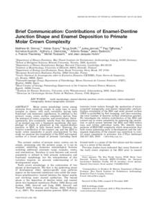 AMERICAN JOURNAL OF PHYSICAL ANTHROPOLOGY 142:157–Brief Communication: Contributions of Enamel-Dentine Junction Shape and Enamel Deposition to Primate Molar Crown Complexity Matthew M. Skinner,1* Alistair E