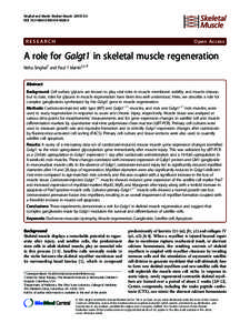 A role for Galgt1 in skeletal muscle regeneration