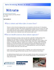 Safe Drinking Water in Utah  Nitrate By Barbara Daniels and Nancy Mesner June, 2005 NR/WQ