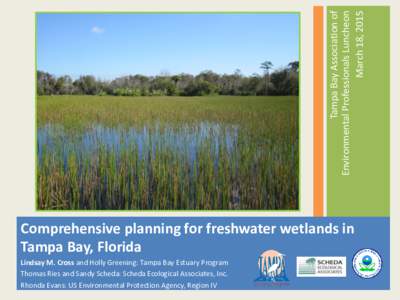Tampa Bay Association of Environmental Professionals Luncheon March 18, 2015 Comprehensive planning for freshwater wetlands in Tampa Bay, Florida
