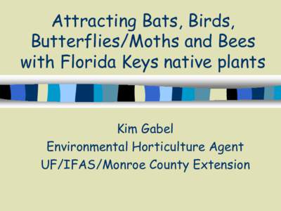 Butterflies / Ecological restoration / Habitats / Hydrogeology / Mud-puddling / Bat / Nest box