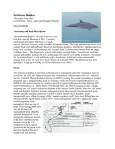 Bottlenose Dolphin Tursiops truncatus Contributors: David Cupka and Margaret Murphy DESCRIPTION Taxonomy and Basic Description The bottlenose dolphin, Tursiops truncatus, was