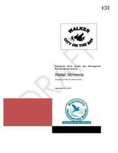 Stormwater Water Quality Best Management Practice Retrofit Analysis Walker, Minnesota Mississippi Headwaters Board