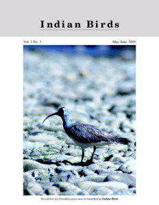 Indian Birds Vol. 1 No. 3