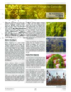 Aquatic Plant Control: Things to Consider By: Tony Groves and Pam Tyning Water Resources Group, Progressive AE