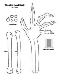 Skeleton Hand Mask (50% Scale) Carpal Bones  Carpal Bone Spacers