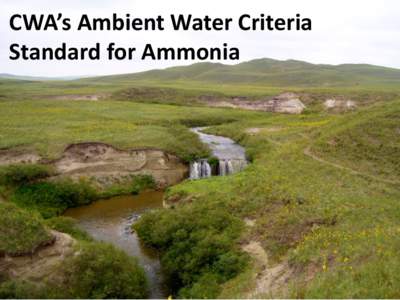 CWA’s Ambient Water Criteria Standard for Ammonia Basis for Permit Limits • Technology based effluent limits (TBELs) – Biochemical oxygen demand (BOD)