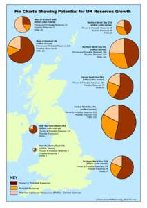 Pie Charts Showing Potential for UK Reserves Growth West of Shetland GAS (billion cubic metres) Proven and Probable Reserves 33 Possible Reserves 21 PARs 78