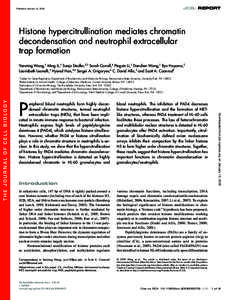 JCB: REPORT  Published January 19, 2009 Histone hypercitrullination mediates chromatin decondensation and neutrophil extracellular