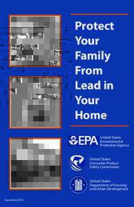 Protect Your Family From Lead in Your