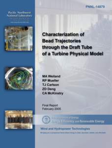 Characterization of Bead Trajectories through the draft tube of a turbine physical model