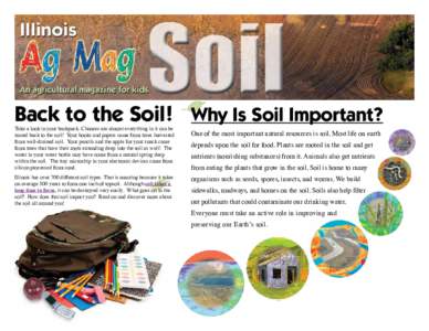 Soil / Agriculture / Agronomy / Agricultural soil science / Sustainable agriculture / Topsoil / No-till farming / Plough / Fertilizer / Humus / Subsoil / Tillage