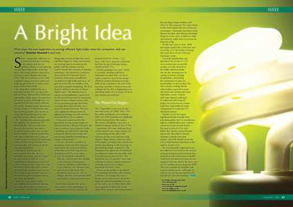 weee  weee A Bright Idea What does the new legislation on energy efficient light bulbs mean for consumers and our