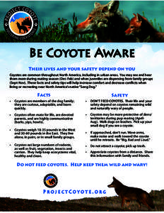 Be Coyote Aware Their lives and your safety depend on you Coyotes are common throughout North America, including in urban areas. You may see and hear them more during mating season (Dec-Feb) and when juveniles are disper