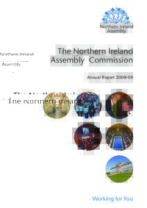 The Northern Ireland Assembly Commission Annual ReportWorking for You
