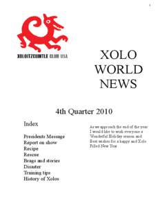 1  XOLO WORLD NEWS 4th Quarter 2010