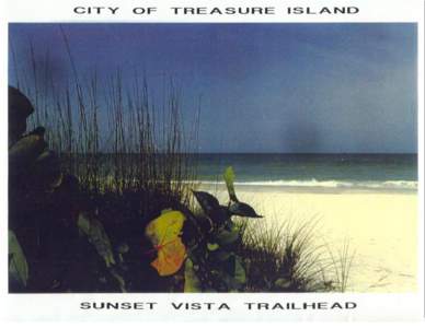CITY OF TREASURE ISLAND SUNSET VISTA TRAILHEAD TABLE OF CONTENTS APPLICATION FORM.........................................................1