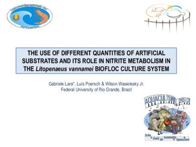 THE USE OF DIFFERENT QUANTITIES OF ARTIFICIAL SUBSTRATES AND ITS ROLE IN NITRITE METABOLISM IN THE Litopenaeus vannamei BIOFLOC CULTURE SYSTEM Gabriele Lara*, Luís Poersch & Wilson Wasielesky Jr. Federal University of R