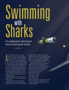 Swimming with Sharks An underwater robot learns how to track great whites