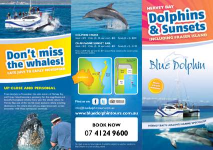 DOLPHIN CRUISE Adult - $70 Childyears old) - $40  CHAMPAGNE SUNSET SAIL